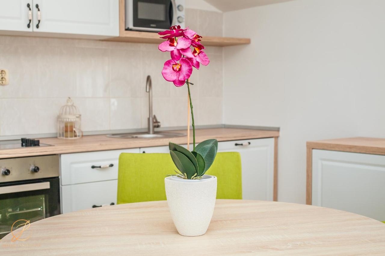 Apartments Batricevic Херцег Нови Екстериор снимка